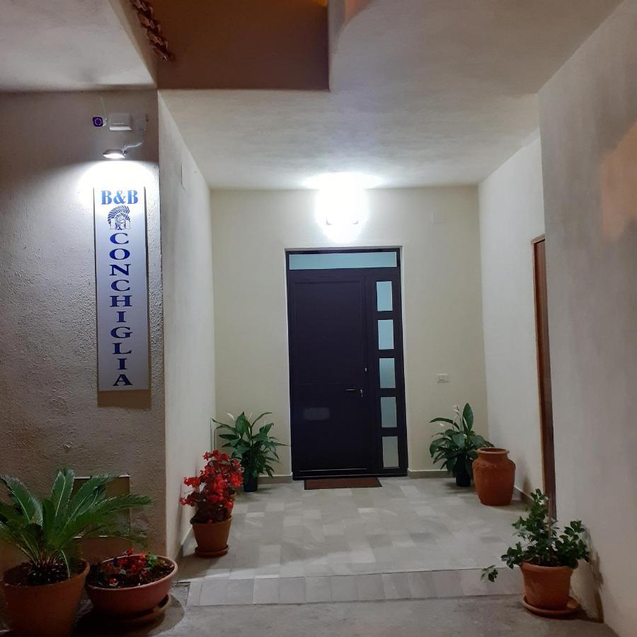 La Conchiglia Bed And Breakfast San Nicola Arcella Exterior foto